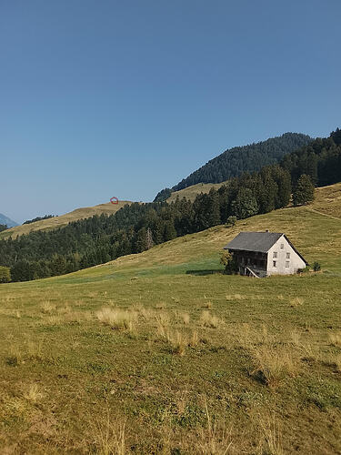 IMG_20260730_173531